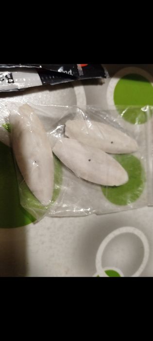 Корм для  ахатин