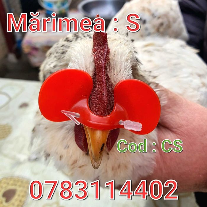 Fazani Gaini Pauni Cocosi Pui Pasari - OCHELARI Fara Ac - CS