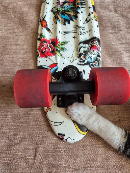 Polyprop Graphic Ink Plastic Skateboard
