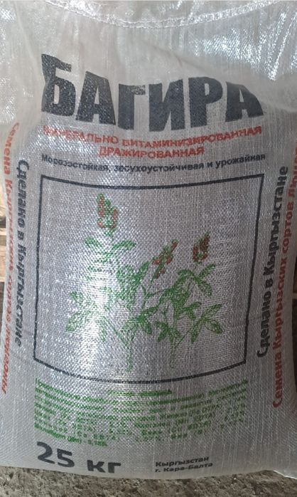 Жоңышқа ұрығы. Семена Люцерны