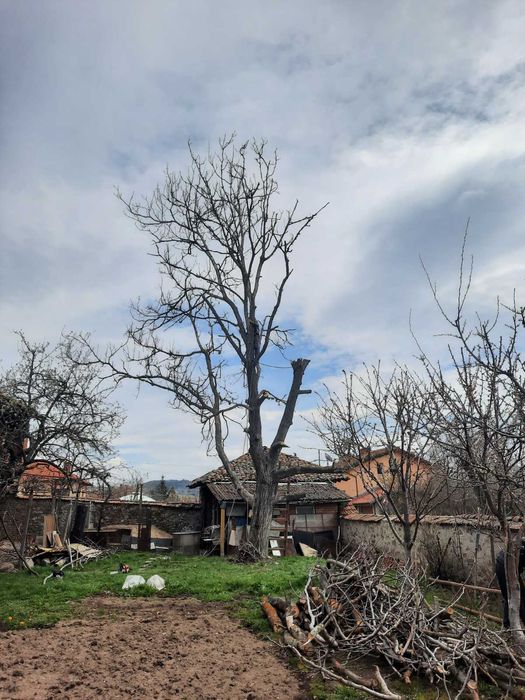 Почистване на запустели терени и двор.,дробилка за клони,горски мулчер