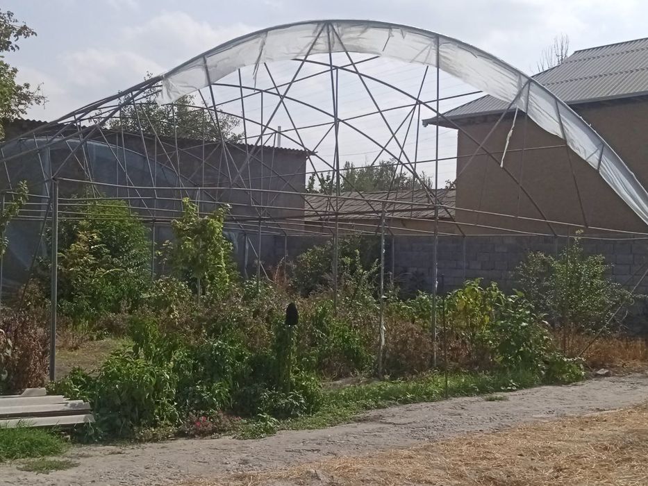 Parniik 10 metrga 16