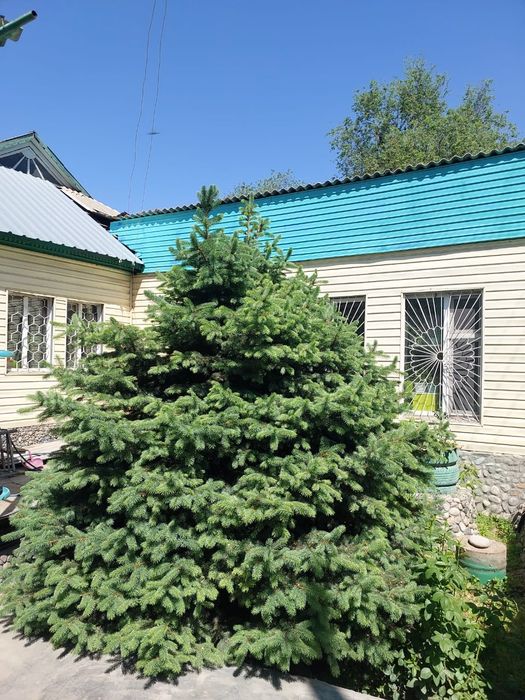 Продам дом с магазином