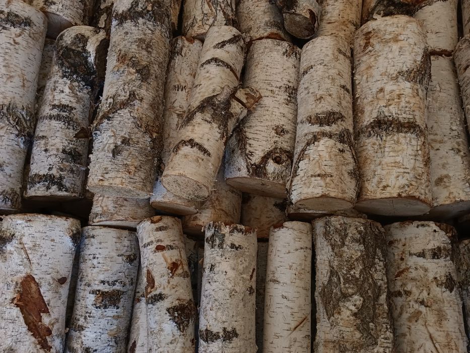 Дрова в мешках 1125