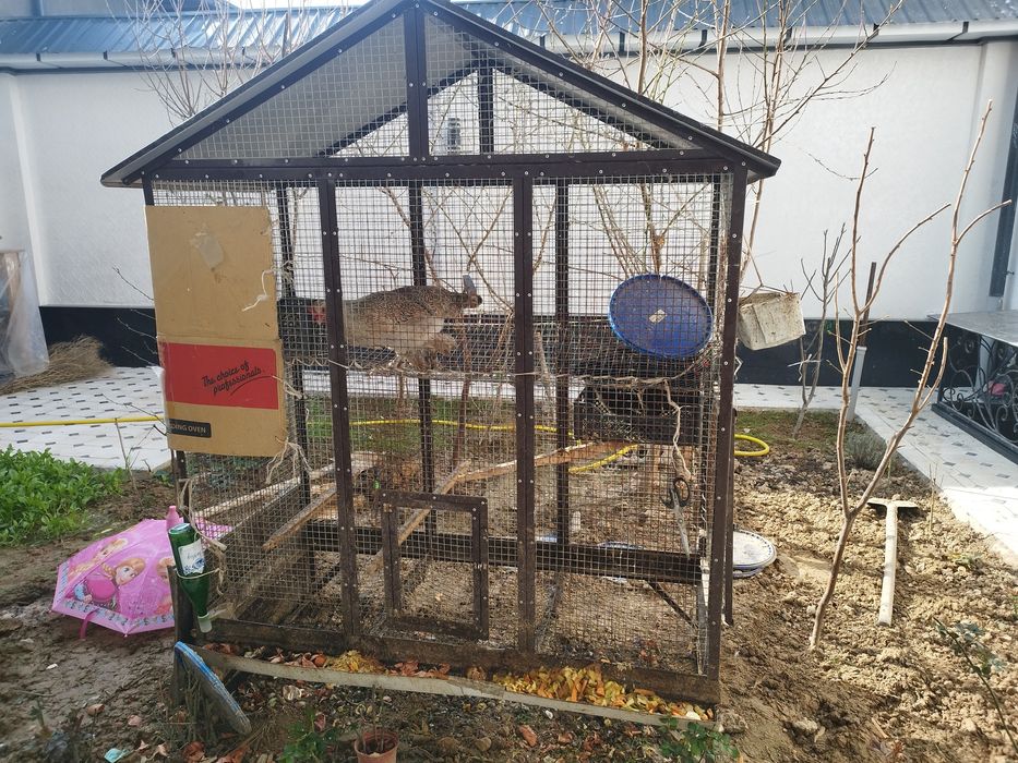 Товуқ катаки сотилади