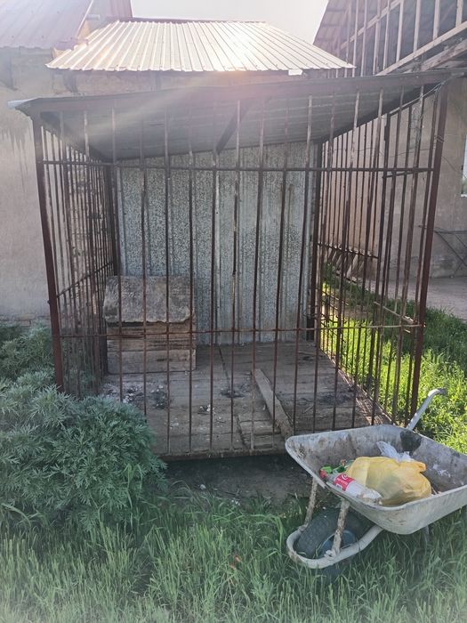 Ассалаумағалайкум