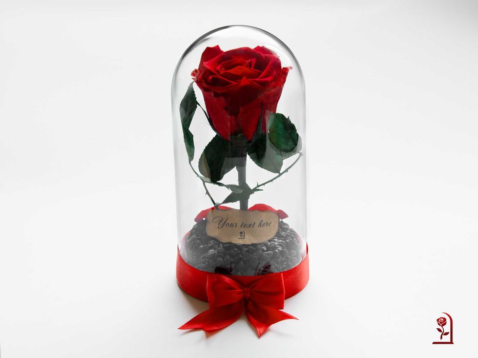 Естествена Вечна Роза в Стъкленица / Подарък за Годишнина за Съпругата