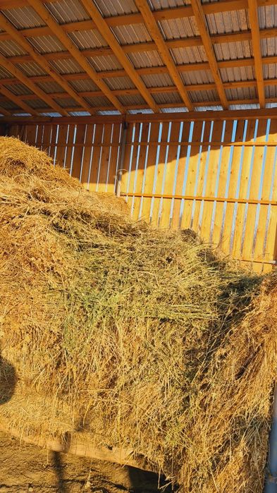 Vând Baloți / Fân