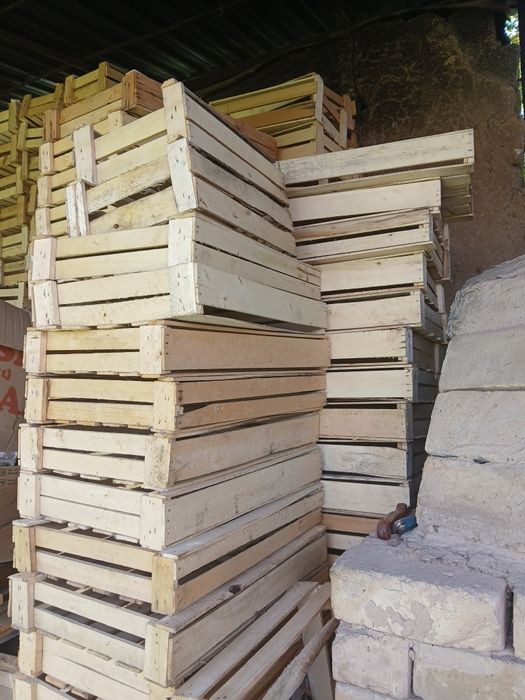 Yashik donasi 2000 dan