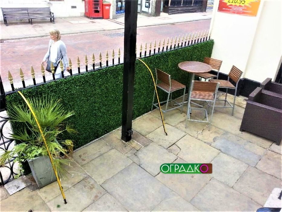 Декоративни оградни пана. Жив плет, бръшлян, чемшир. Най-ниските цени!