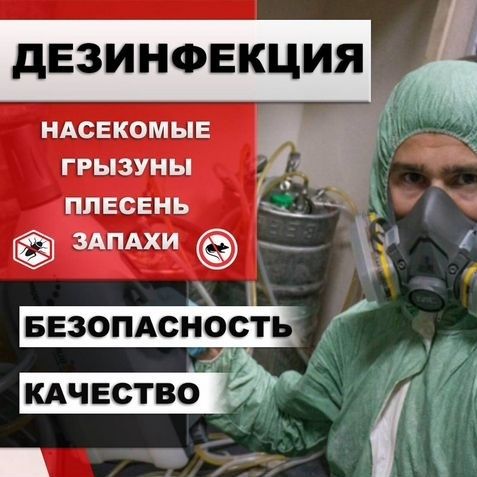 От клопов без запа Гарантия 100% Дезинфекция dizinfeksiya dezinfeksiya