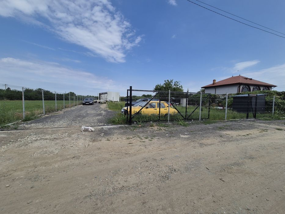 Teren intravilan 1999 mp Vidra (Sintești) | 25 m deschidere