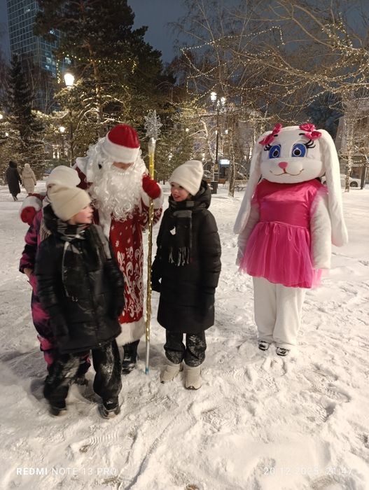 Дед Мороз и Снегурочка