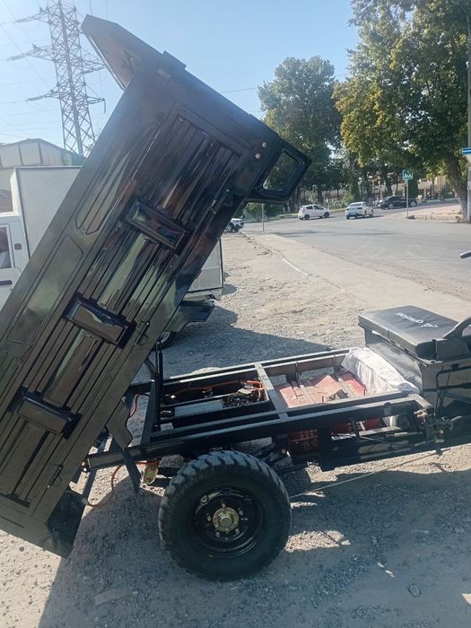 Электронной муравей 1000$