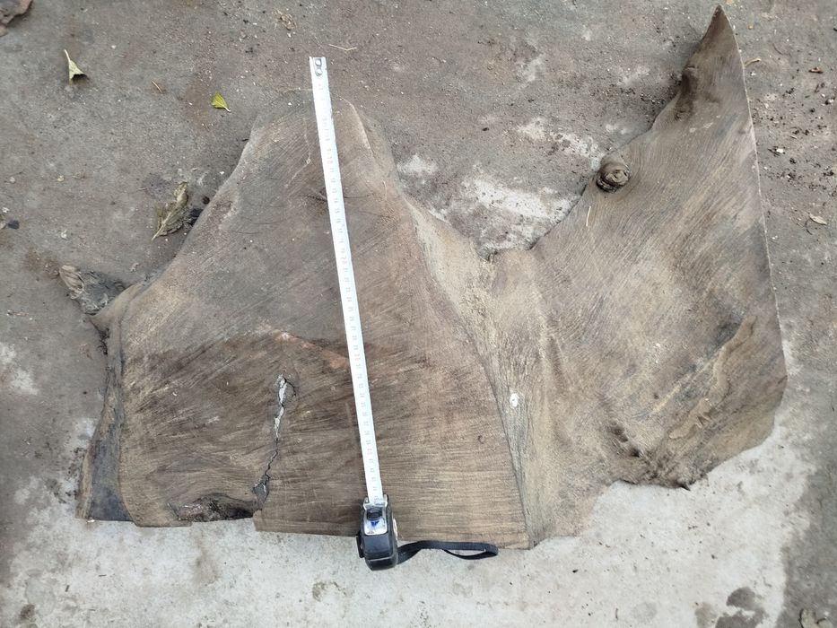 Шайби от корен на орех