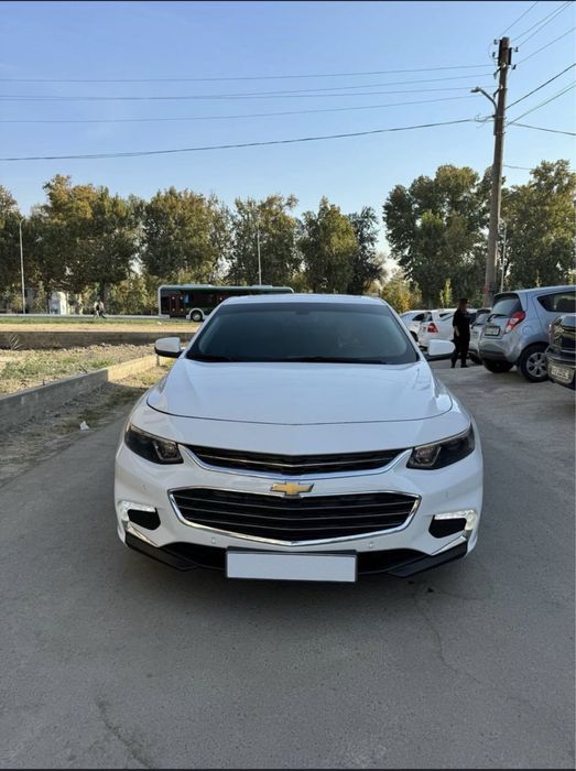 Arenda malibu 2 2018