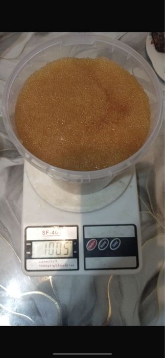 Свежий бугинги икра сатылады