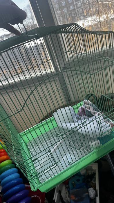 Клетка для попугая