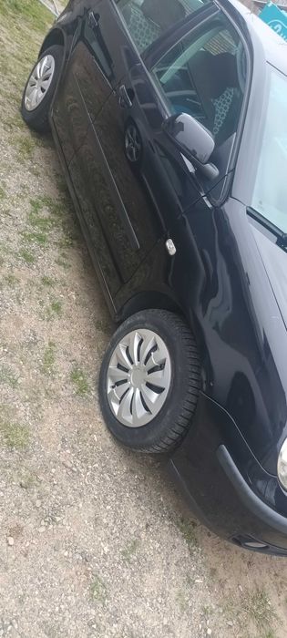 Autoturism auto wolvaghen pollo