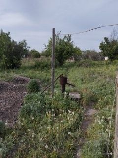 Дом с участком. Пос. Согра.