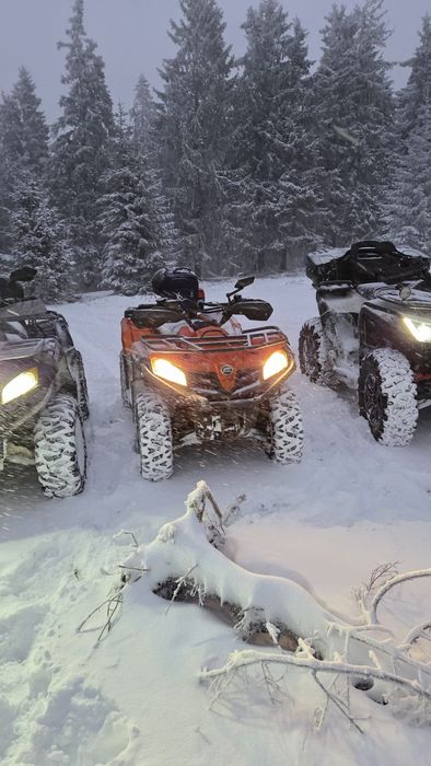 Vind atv CF MOTO 450 L