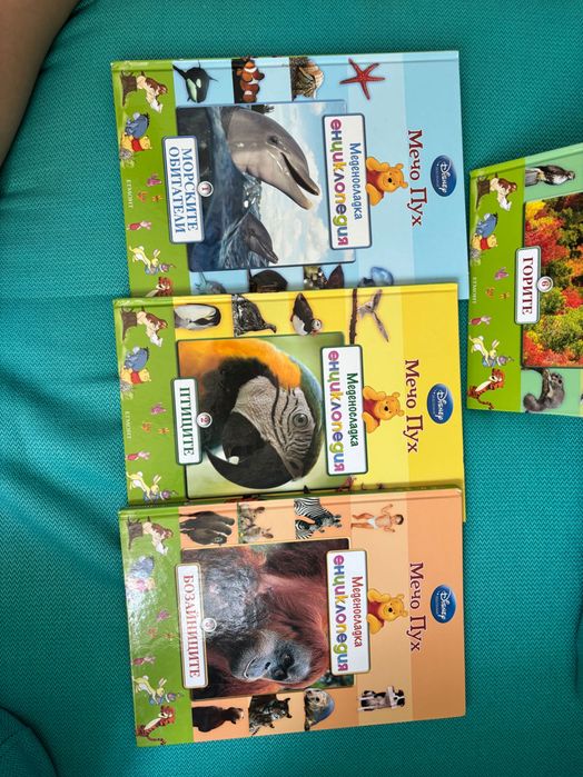 Пълна колекция "Мечо Пух – Меденосладка енциклопедия" (12 тома)