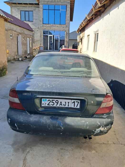 Продам рабочую лошадку