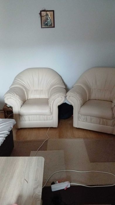 Fotolii din piele ecologică