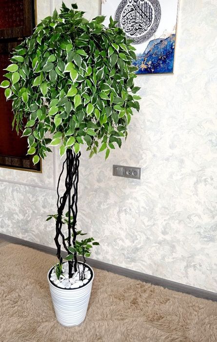 Искусственные цветы. Искусственные деревья. Суний гуллар