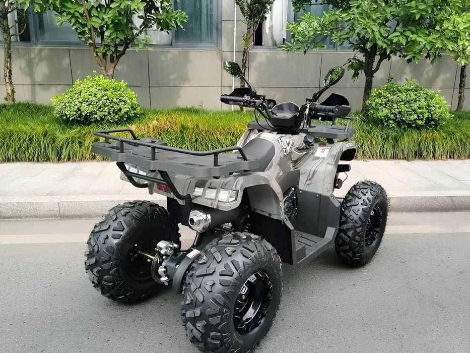 Квадроцикл Motax Grizlik T200