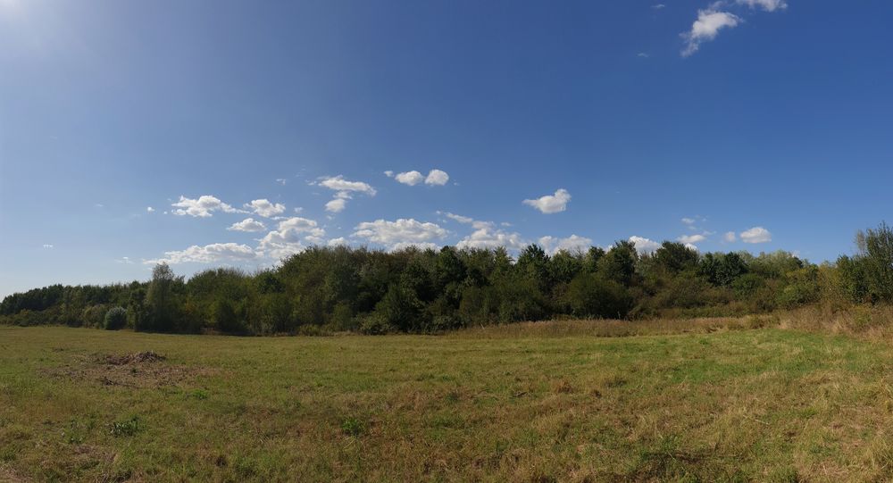 Teren  Extravilan ,Vita de  vie /Comuma Plopu, Judetul Prahova