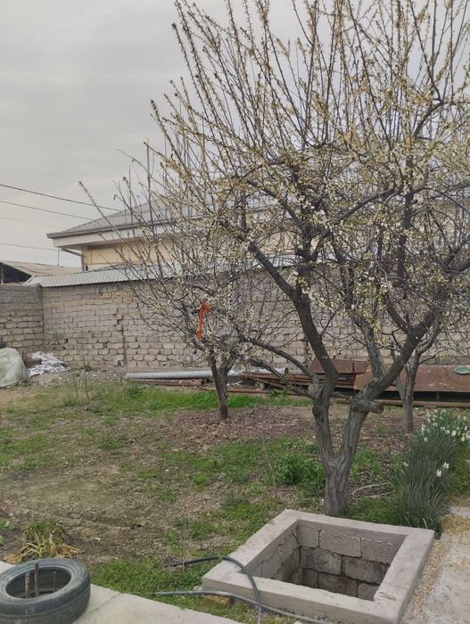 Срочно продается участок в Йик ате 3,5 сот земли