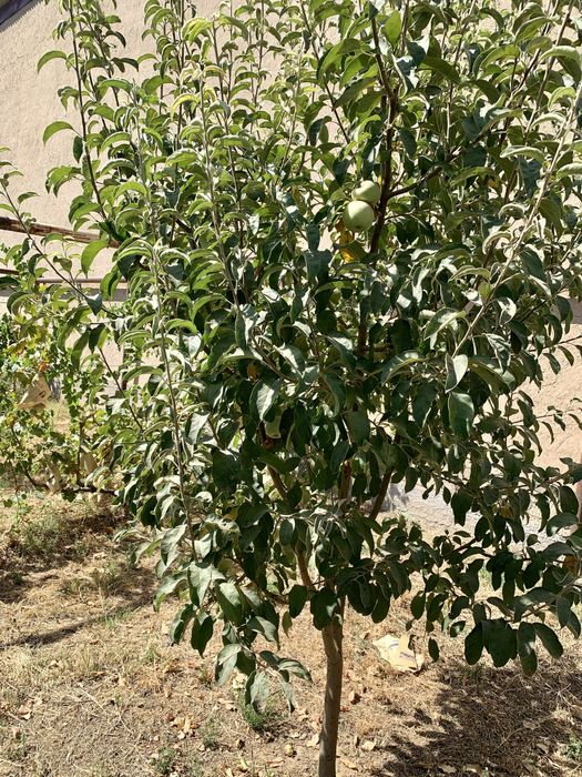 Земельный участок на локаторе