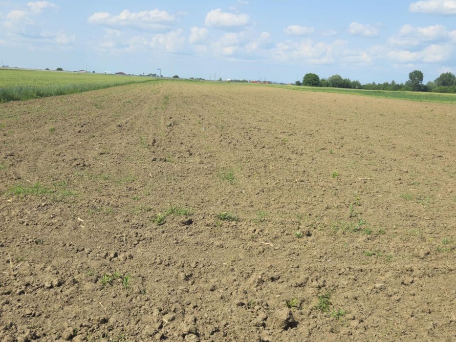 Vind 20 de ari teren