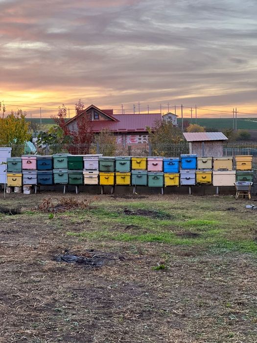 Centrifuga miere patru rame,inox