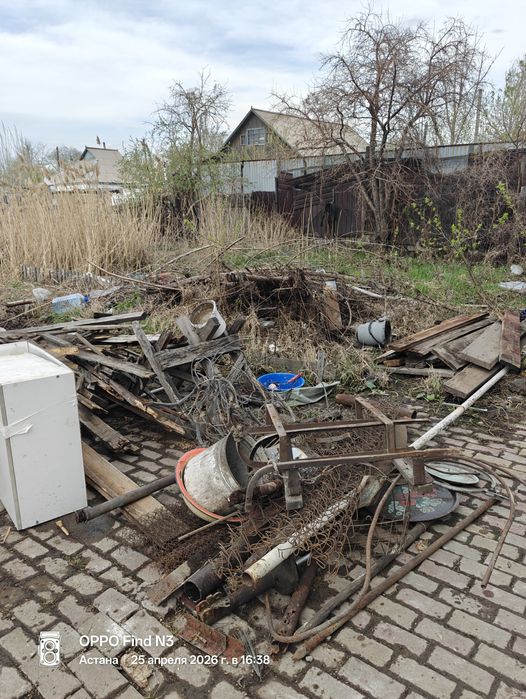 Дерево на дрова бесплатно