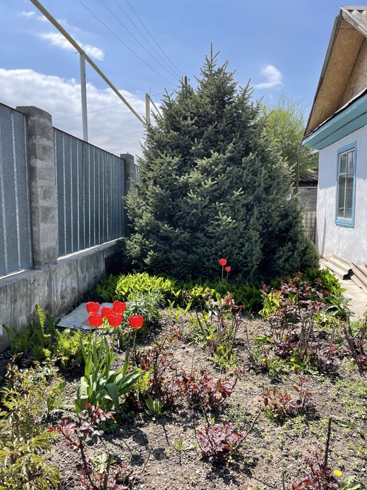 Продам Дом в Тургене