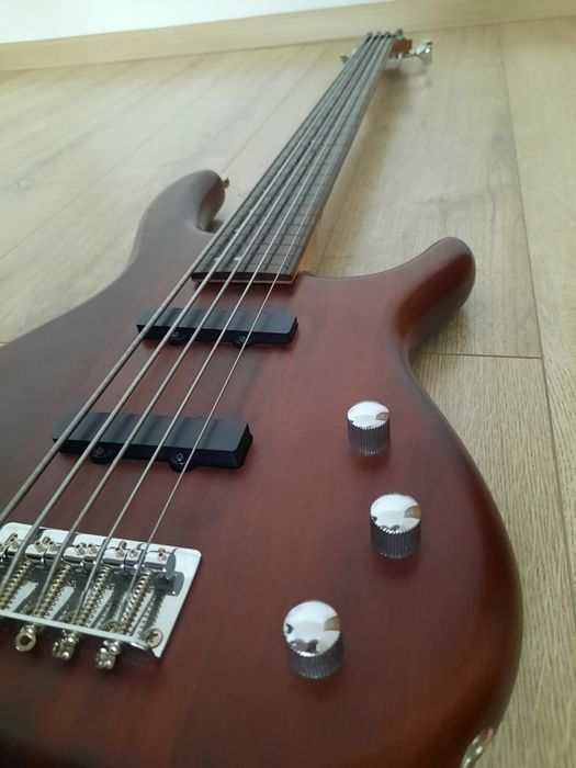 Chitara bass, 5 corzi, fretless