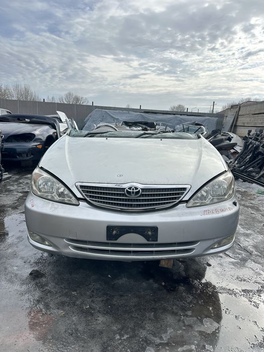 Япошки на розборе семей