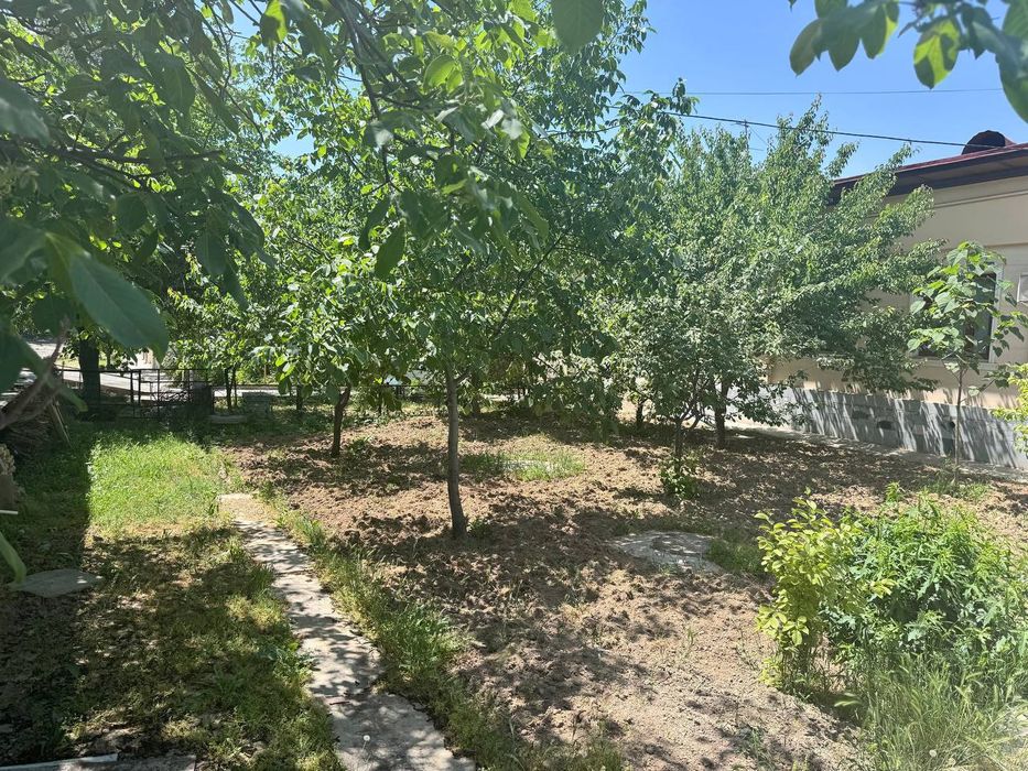 Iy Sotiladi. Hovli 8 sotix