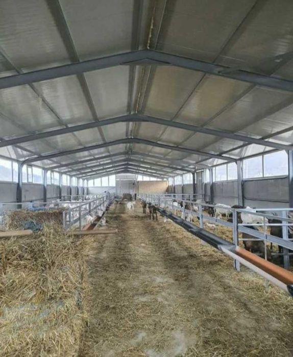 Structuri hale si confectii metalice la cheie, depzoite garaje saivane