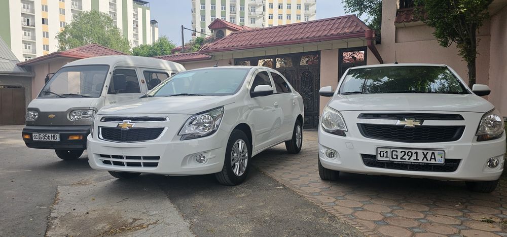 Кобальт 4-позиция 0 пробег Ок ранг Белый срочно ПЛАСТИК накд дамас бор