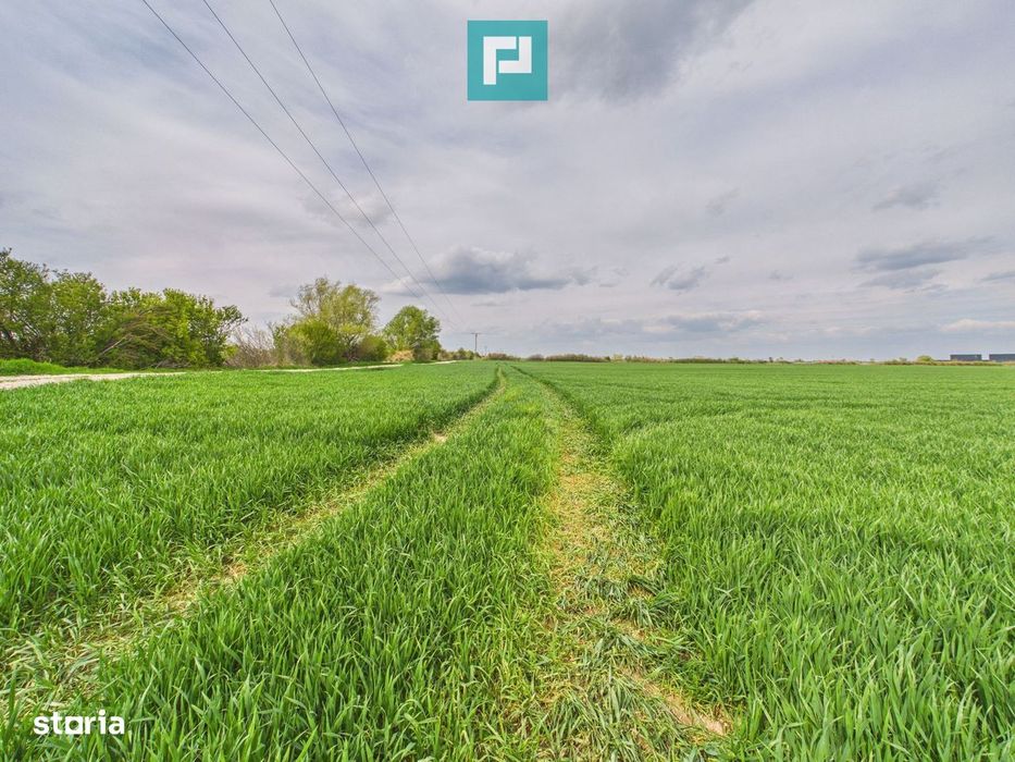 Teren extravilan 19.900 mp – Giroc centură