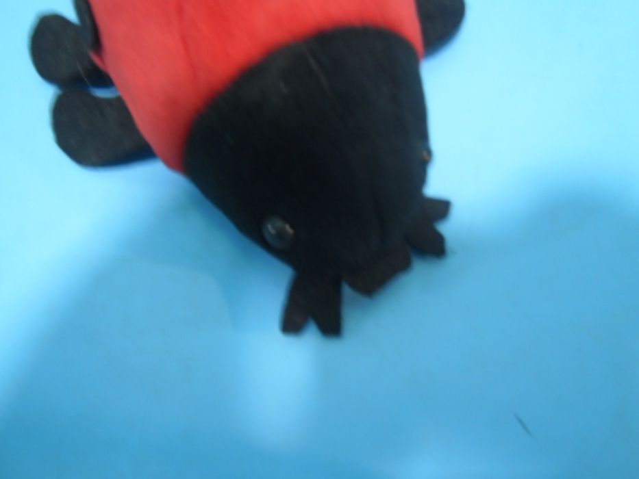 Калинка показваща пътя към щастието