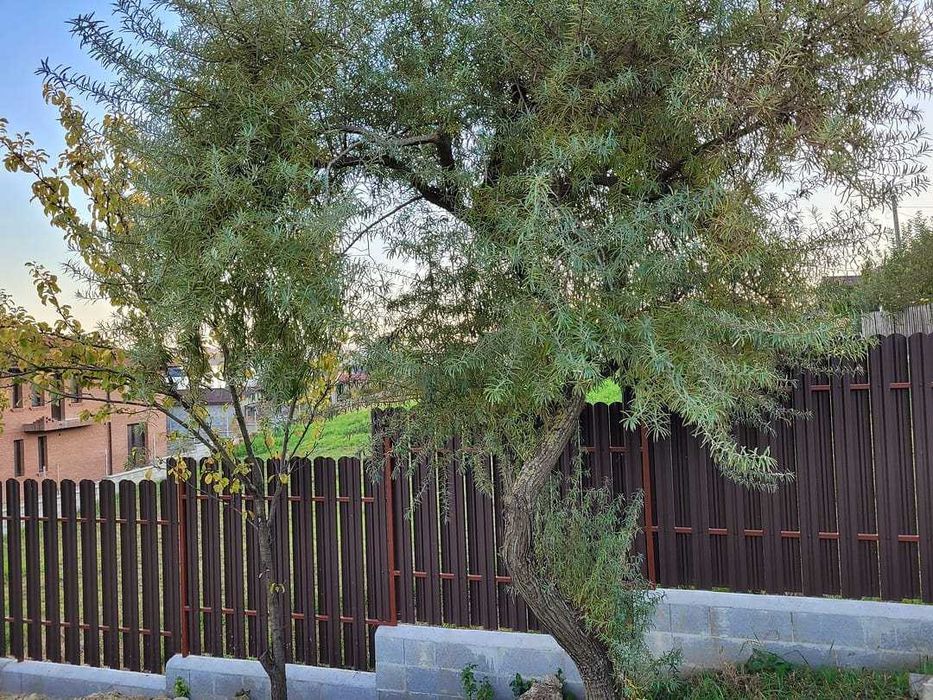 Garduri din panou stil jaluzele, sipca metalica, tabla, plasa si BCA