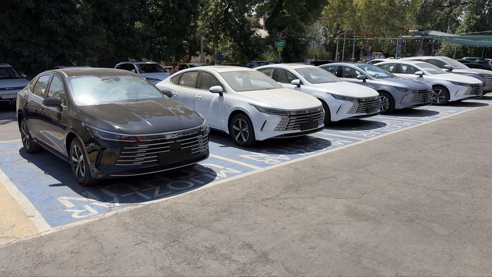 Byd Chazor offical Avtozone