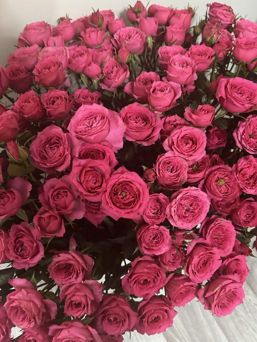 Кустовые розы. 150~ штук