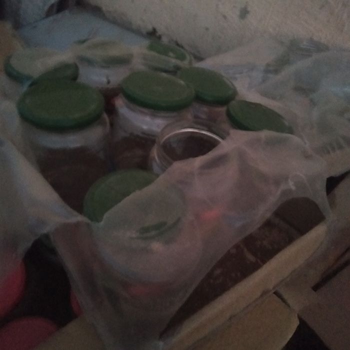 Банки 0,5  пен 2 литтр