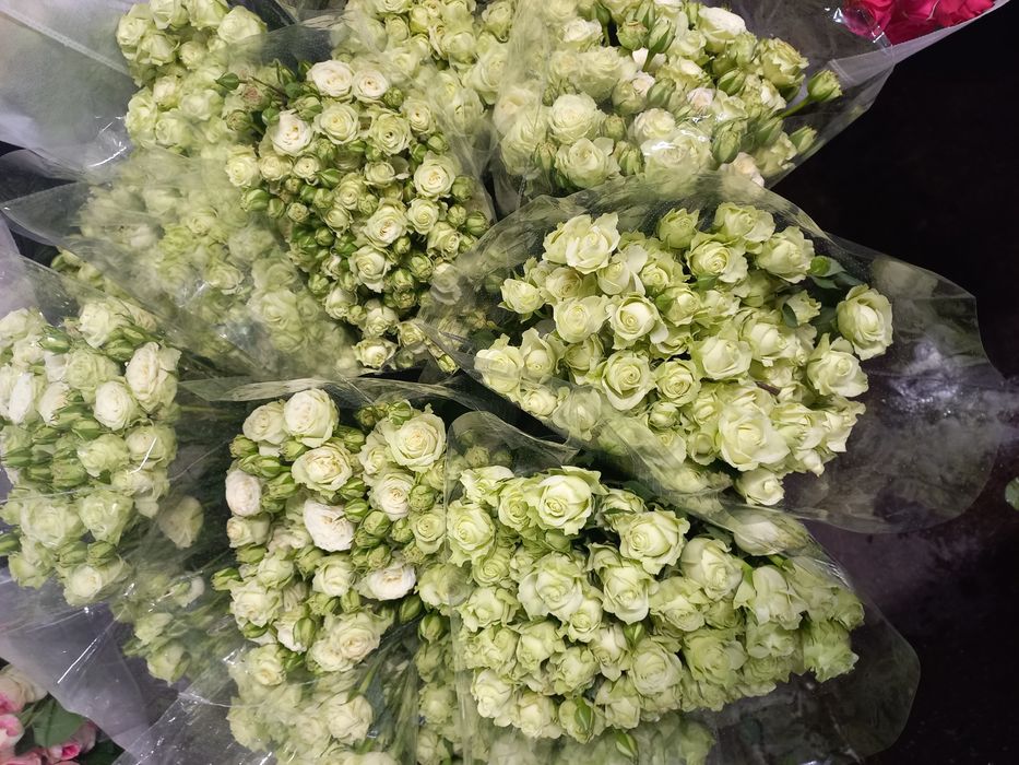 Китайская роза 10 веточек