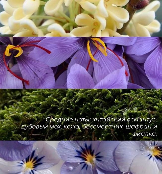 Chimilka отливает 5 мл. ОРИГИНАЛ